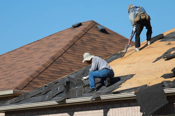 Best Roof Moss and Algae Removal  in The Galena Territory, IL