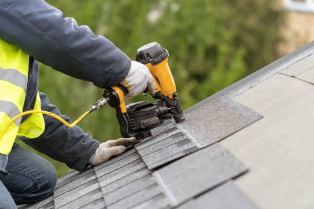 Best Roof Maintenance and Cleaning  in The Galena Territory, IL